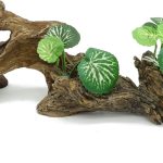 aquarium driftwood decor