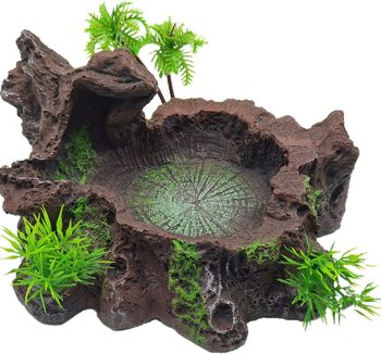 natural reptile food