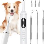 dog teeth cleaning kit