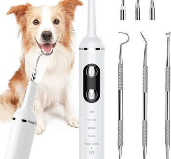 dog teeth cleaning kit