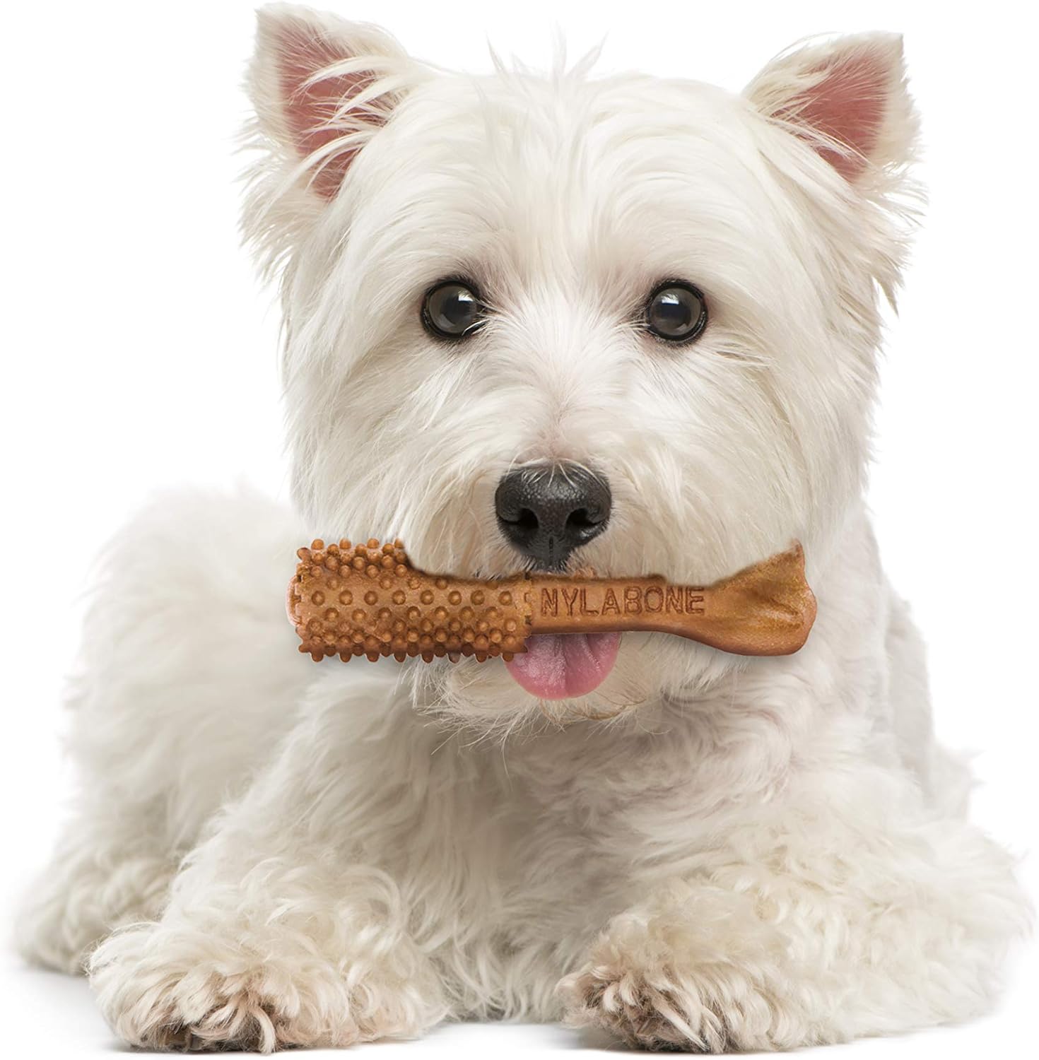 Nylabone Nutri Dent Dog Dental Chews - Natural Dog Teeth Cleaning & Breath Freshener - Dental Treats for Dogs - Filet Mignon Flavor, Small (28 Count) - Happypetzone.online - Image 10