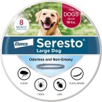 best dog collar