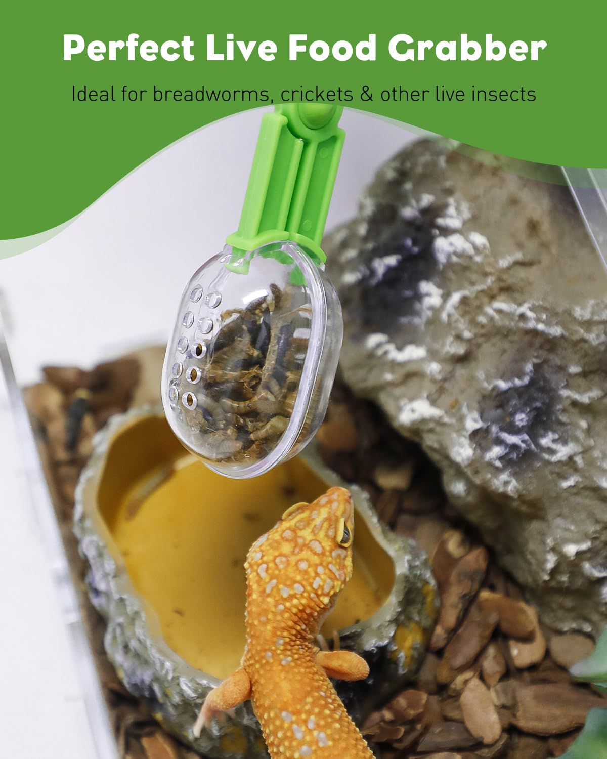 Pawfly 3 Pack Reptile Feeding Clamp, Bug Scooper, Plastic Reptile Poop Scoop, Terrarium Reptile Feeding and Cleaning Tools for Lizard Bearded Dragon Gecko Snake, 3 Colors - Happypetzone.online - Image 6