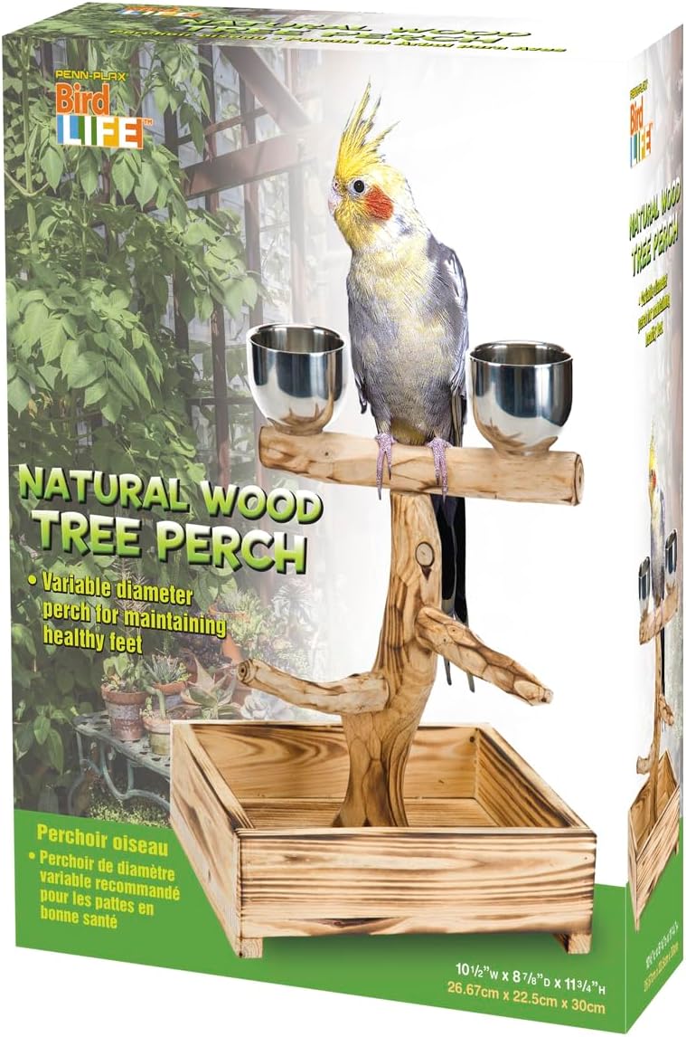 PENN-PLAX Bird-Life Natural Wood Tree Perch for Small and Medium Birds – Includes Food and Water Bowls with Drop Tray – Medium - Happypetzone.online - Image 8