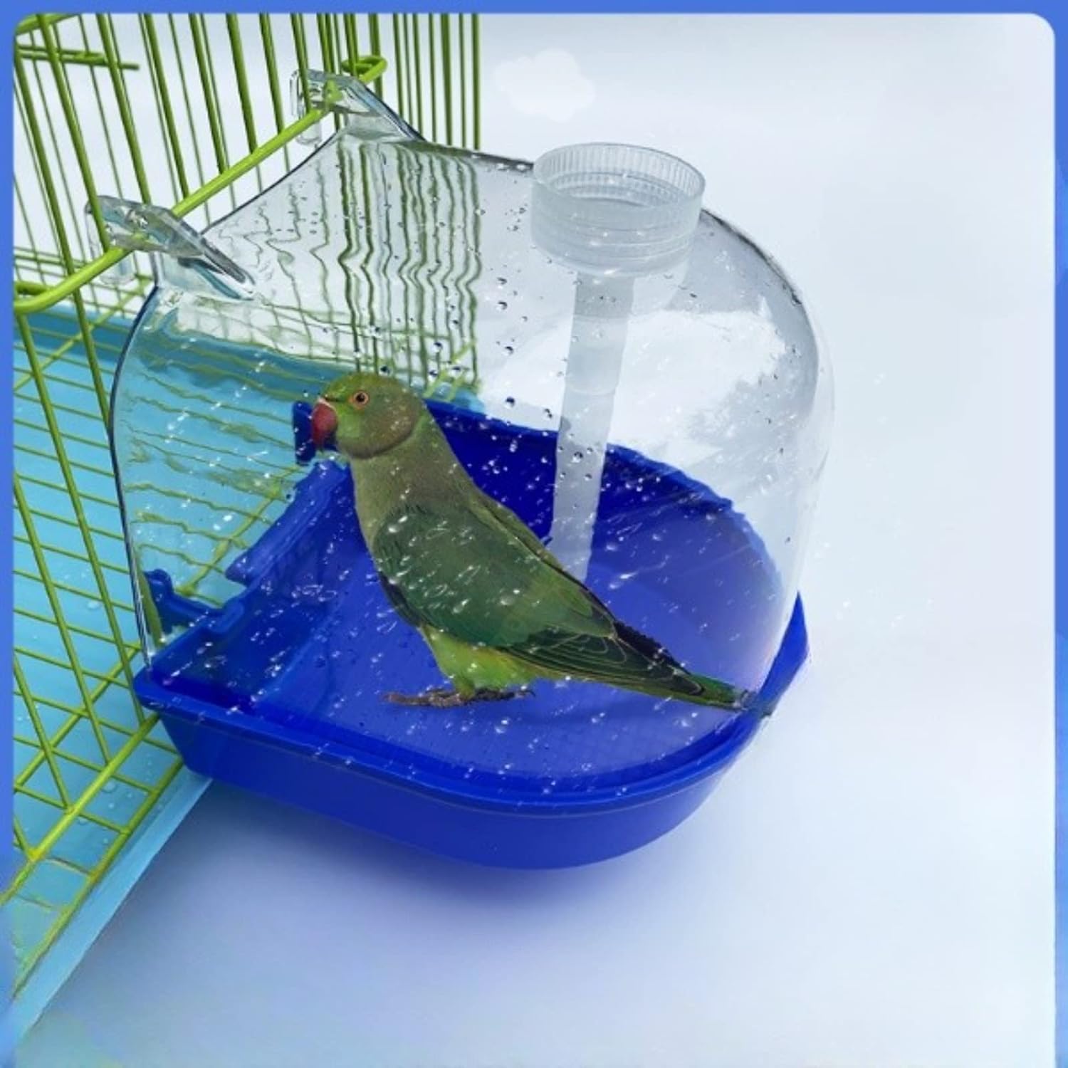 bird cage easy clean supplies