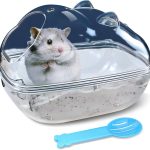 hamster care essentials