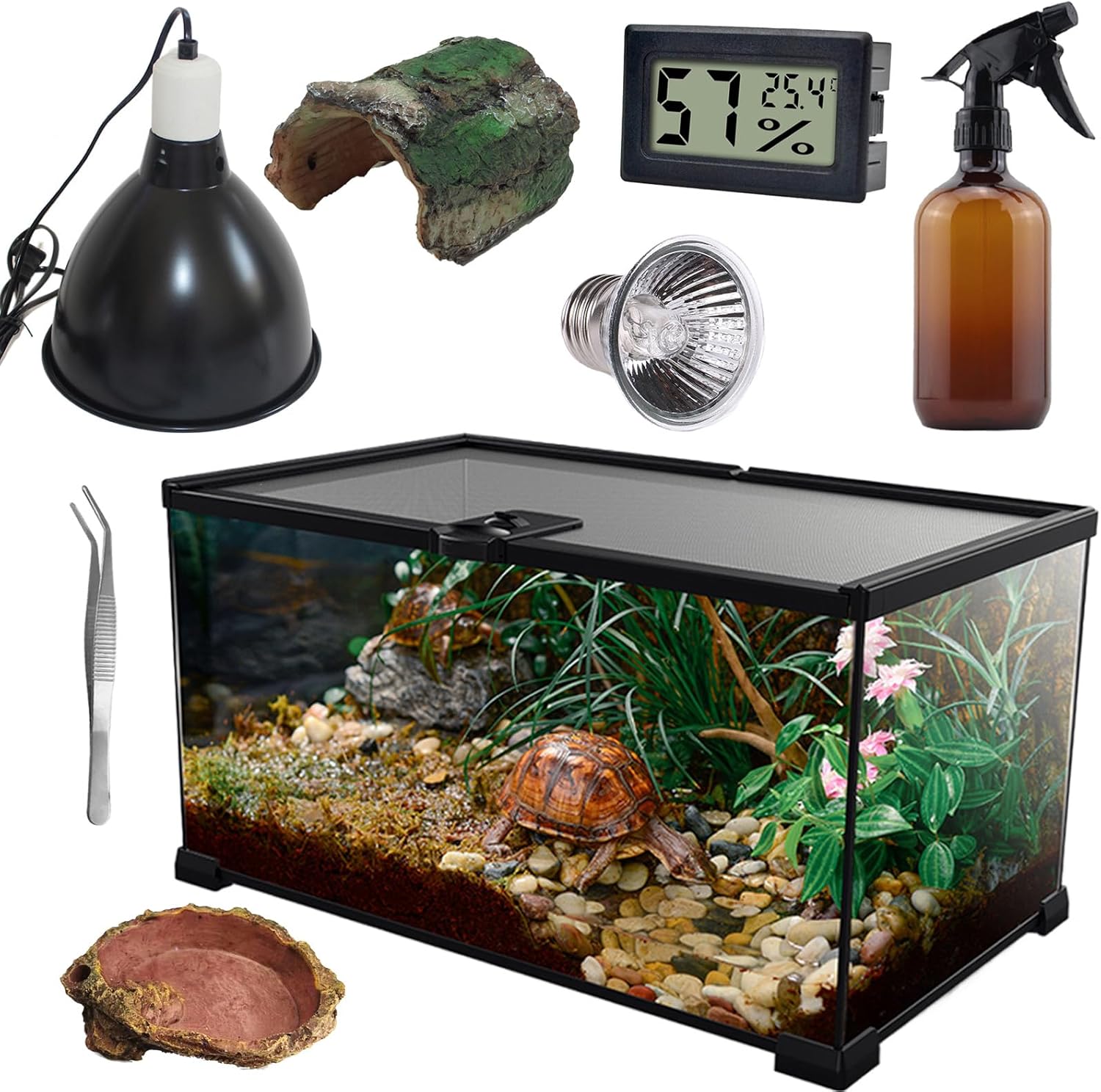 reptile tank starter kit