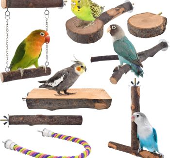 bird perch natural wood