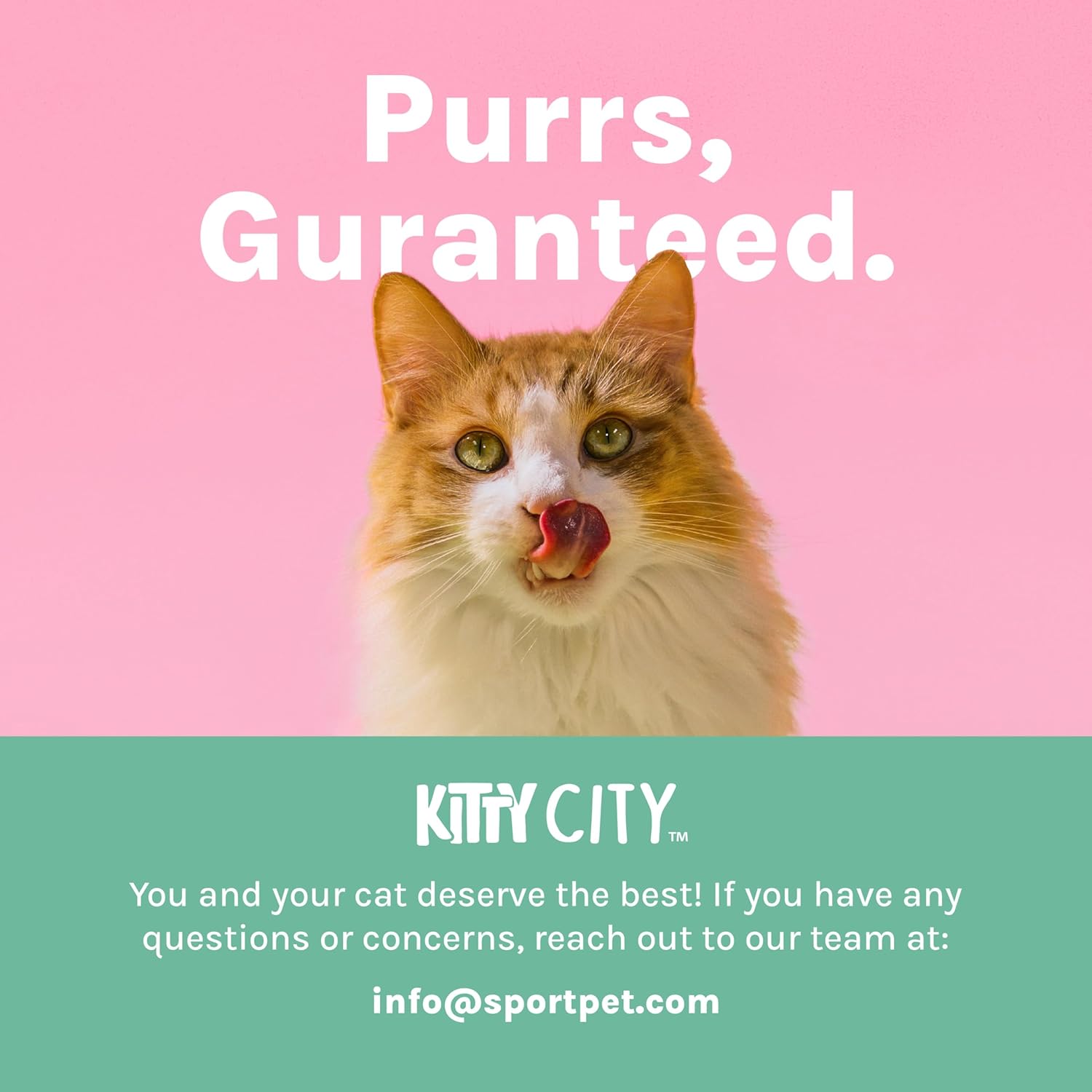 Kitty City Cat Premium Natural Catnip Collection, Catnip Bag 3-Pack - Happypetzone.online - Image 7