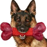 long lasting dog chews