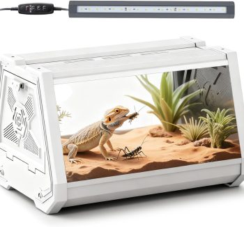 small reptile tank