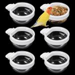 bird food bulk cheap