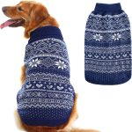 large dog clothes winter