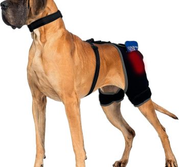 dog hip and joint care