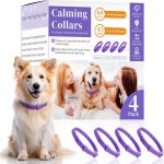 dog calming supplement