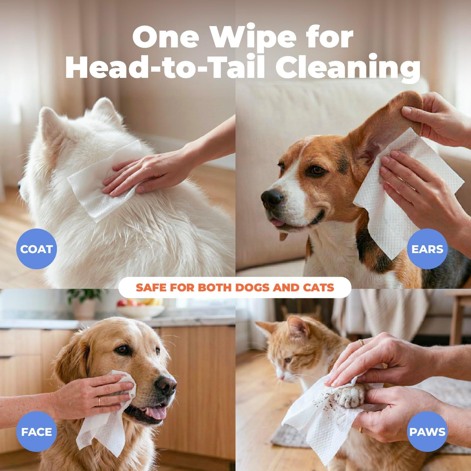 Best Pet Supplies 8" x 9" Large Dog Wipes - Cleaning and Deodorizing for Paws and Coat - Gentle Formula with Coconut Vitamin E for Puppies and Cats - 100 Count - Happypetzone.online - Image 3