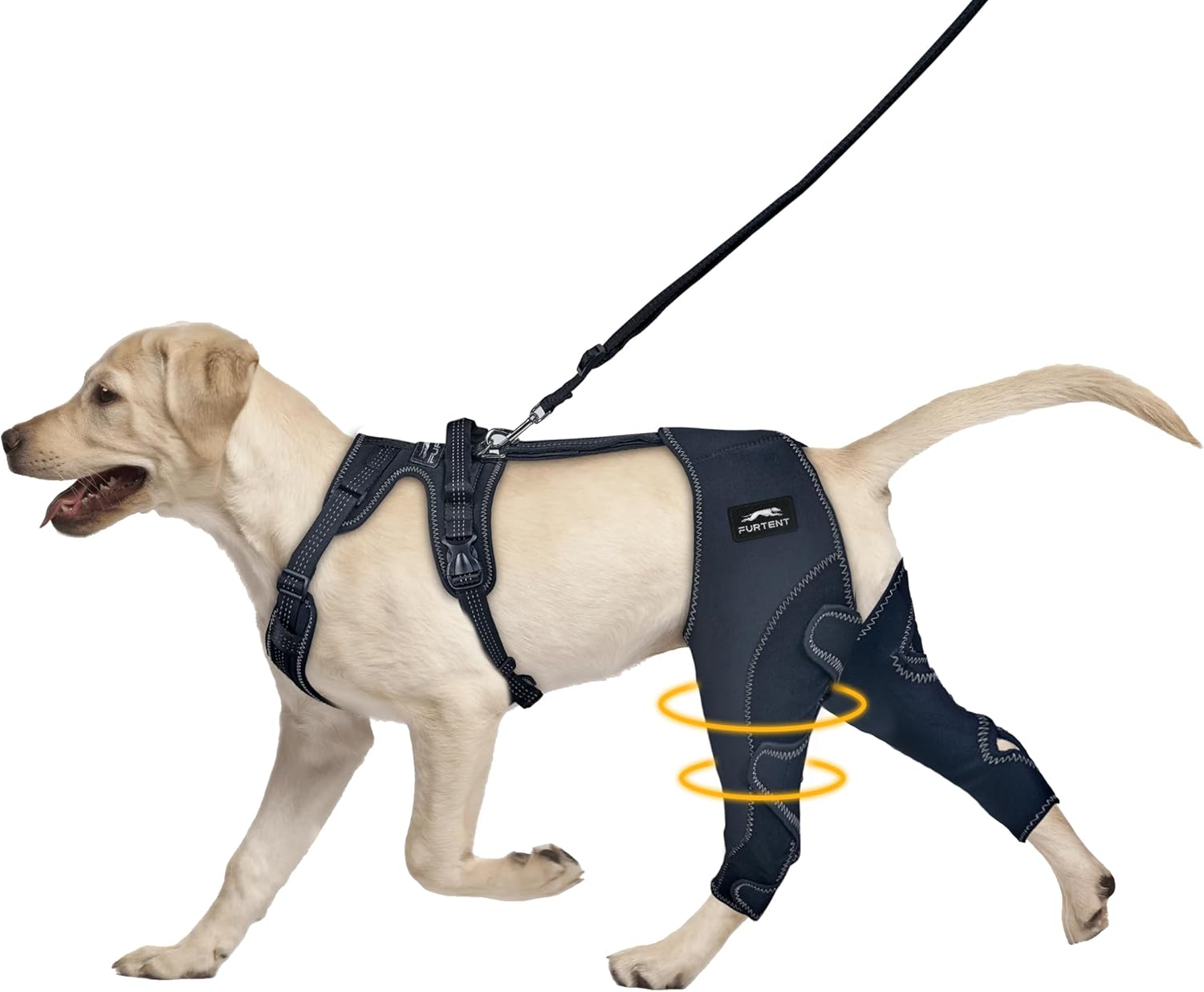 dog joint supplement
