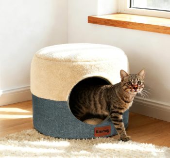 best cat bed