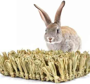rabbit bedding hay base