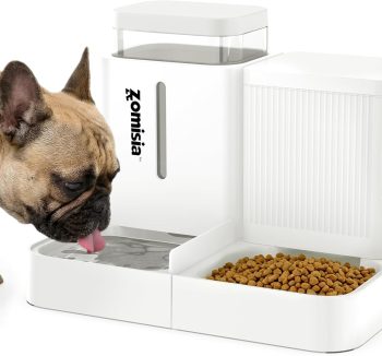 dog food for small dogs