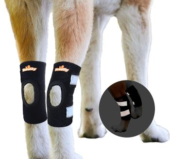 cat joint supplement
