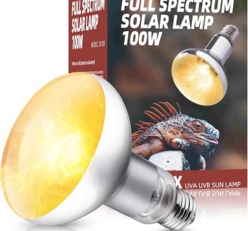 reptile uv lighting full spectrum