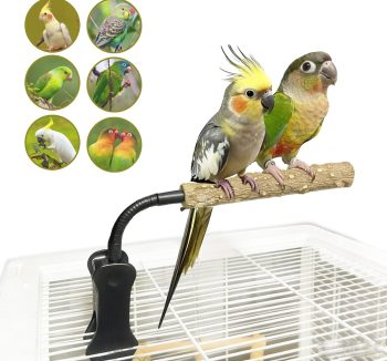 bird perch adjustable