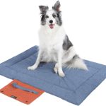 dog training mat