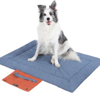 dog training mat