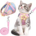 cat leash for walking