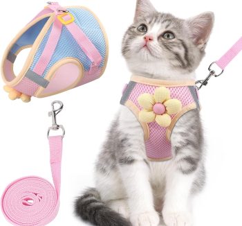 cat leash for walking