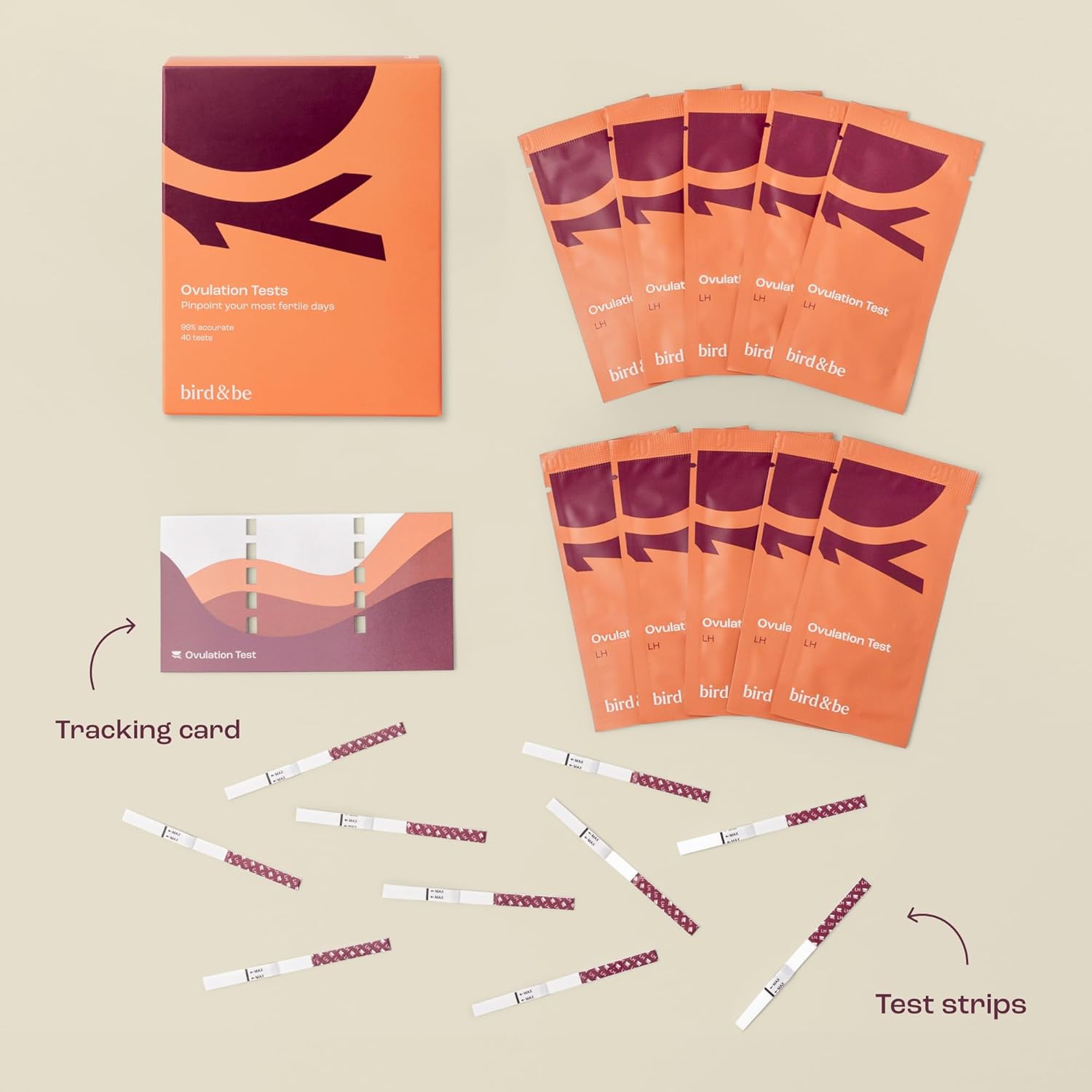 bird&be Ovulation Test Strips (LH) | 40 High-Accuracy Predictor Kits | Track Fertile Window & LH Surge | Eco-Friendly Low-Waste Design | Easy Dip & Read Results | TTC Fertility Monitor - Happypetzone.online - Image 2