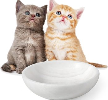 premium small pet food