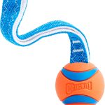 dog fetch toys