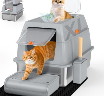 cat litter box anti smell