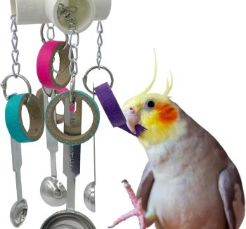 durable bird toys