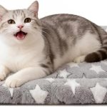 cat bed soft