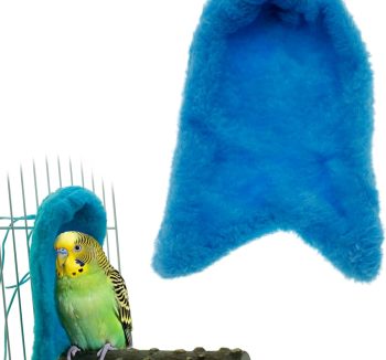 bird care essentials