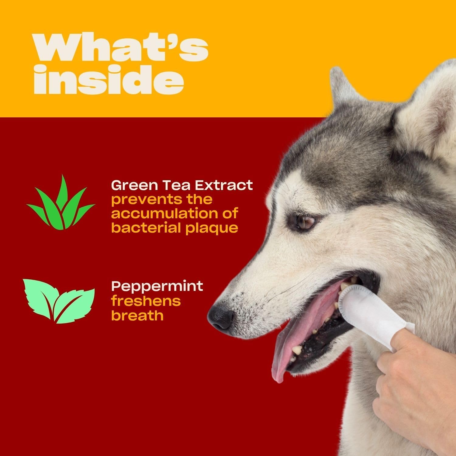 OH NORMAN! Dog Dental Wipes - Vet-Approved Pet Dental Finger Wipes for Oral Hygiene & Fresh Breath - Alternative to Finger Toothbrush for Dogs - No Fuss Dog Cleaning Supplies for Daily Use - 50 pcs - Happypetzone.online - Image 3