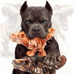 dog chew bones safe