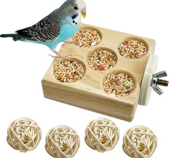bird enrichment toys