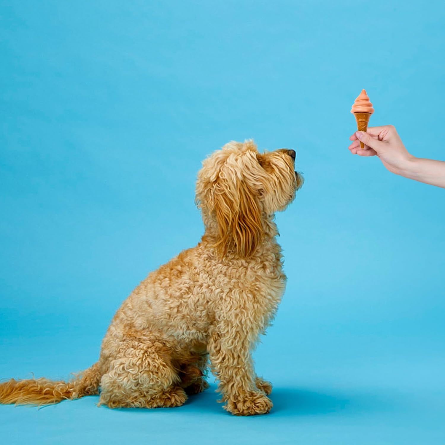SPOT Pup Ice- Ready to Freeze at Home Dog Treats-Edible Chews for Medium Breed Dogs & Puppies with Real Chicken to Keep Your Pup Cool Year Round, Waffle Cone Strawberry Flavor, 2pcs - Happypetzone.online - Image 8
