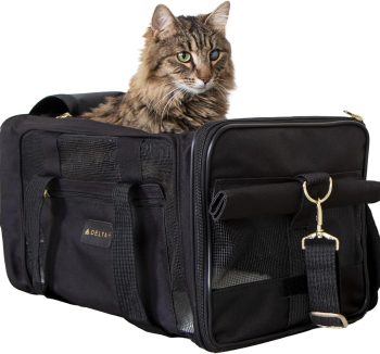 dog travel carrier airline approved