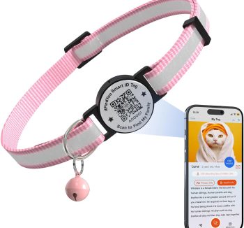 cat collar personalized