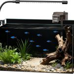 fish tank setup kit