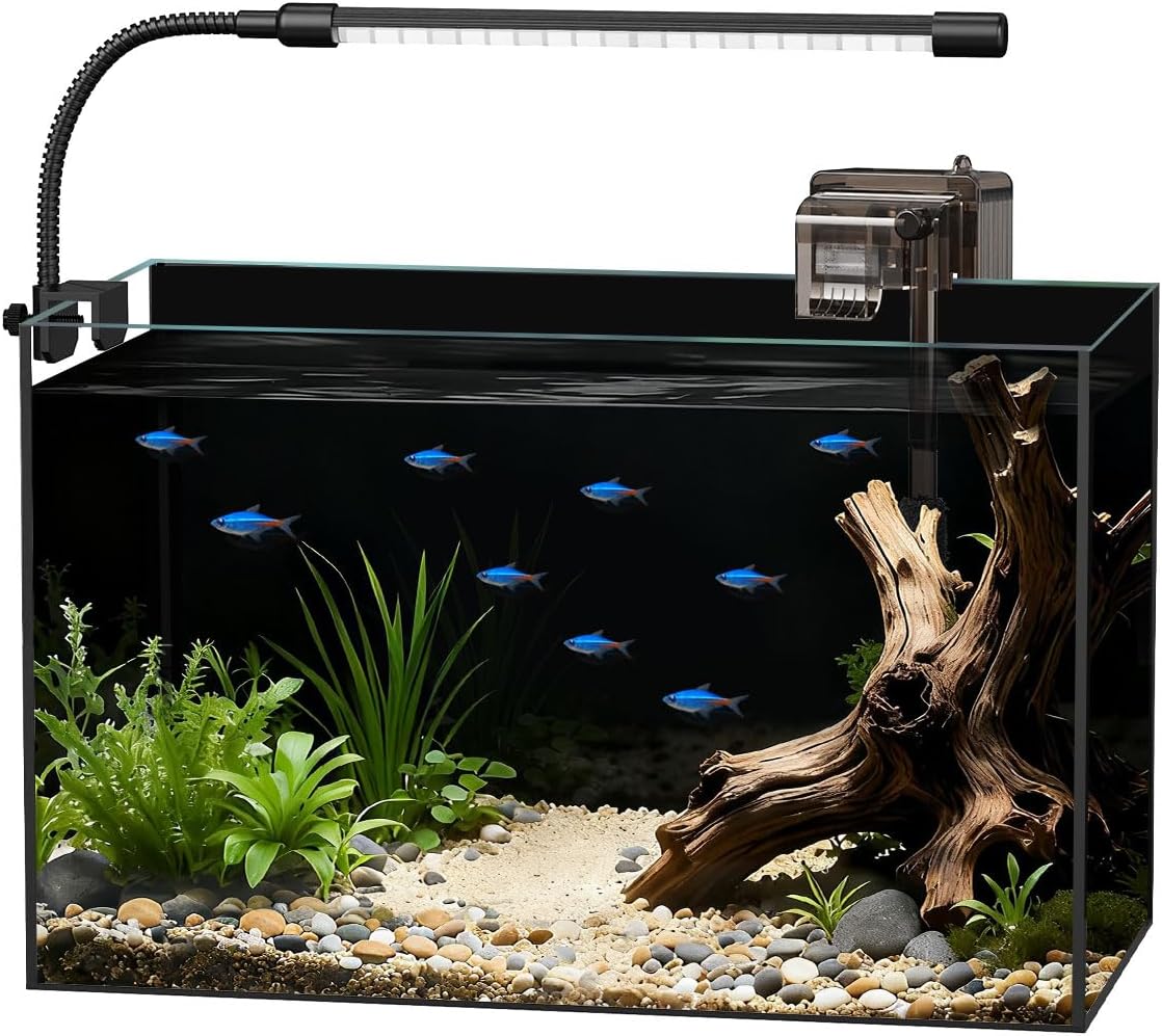 fish tank setup kit
