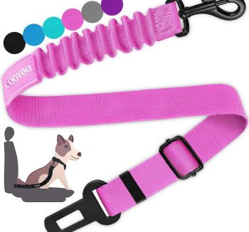 dog car seat belt