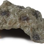 reptile cave hideout