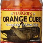 crickets for reptiles