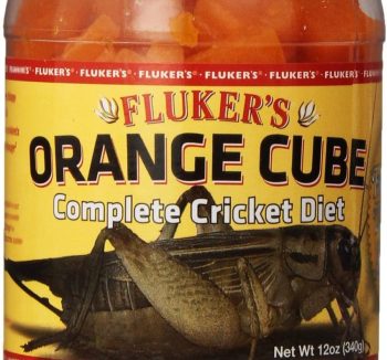 crickets for reptiles